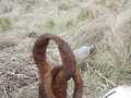 Image file: _2/photo44.jpg