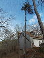 Image file: photo04.jpg