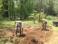 Image file: photo01.jpg