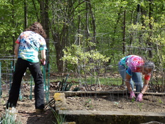 Image file: photo09.jpg