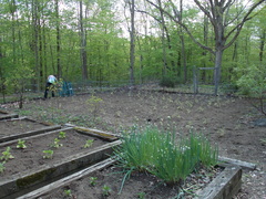 Image file: photo19.jpg