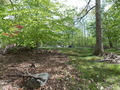 Image file: photo03.jpg