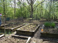Image file: photo15.jpg