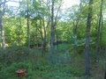 Image file: photo02.jpg