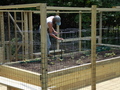 Image file: photo04.jpg