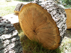 Image file: photo04.jpg