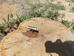 Image file: photo11.jpg