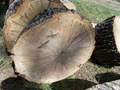 Image file: photo03.jpg