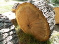 Image file: photo04.jpg