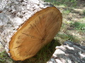 Image file: photo07.jpg