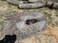 Image file: photo14.jpg