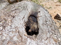 Image file: photo15.jpg