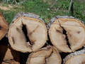 Image file: photo03.jpg