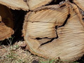 Image file: photo04.jpg