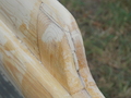 Image file: photo02.jpg