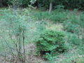 Image file: photo01.jpg