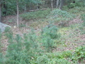 Image file: photo02.jpg