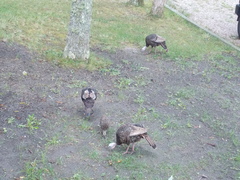 Image file: photo05.jpg