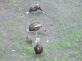 Image file: photo01.jpg