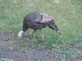 Image file: photo03.jpg