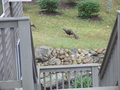Image file: photo08.jpg