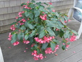Image file: _1/photo02.jpg