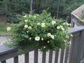 Image file: _1/photo03.jpg