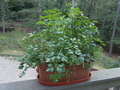 Image file: _1/photo04.jpg