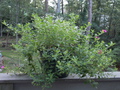 Image file: _1/photo05.jpg