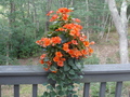 Image file: _1/photo08.jpg