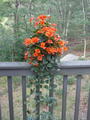 Image file: _1/photo09.jpg