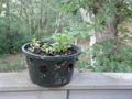 Image file: _1/photo10.jpg