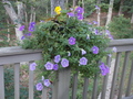 Image file: _1/photo11.jpg