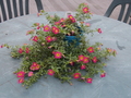 Image file: _1/photo12.jpg