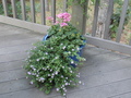 Image file: _1/photo13.jpg
