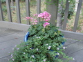 Image file: _1/photo14.jpg