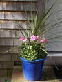 Image file: _1/photo20.jpg
