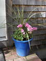 Image file: _1/photo21.jpg