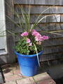 Image file: _1/photo22.jpg
