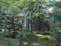 Image file: _2/photo31.jpg