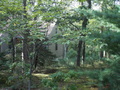 Image file: _2/photo32.jpg