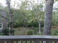 Image file: _2/photo41.jpg