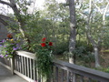Image file: _2/photo43.jpg