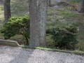 Image file: _2/photo44.jpg