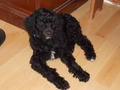Image file: photo02.jpg