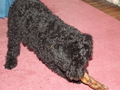Image file: photo01.jpg