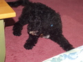 Image file: photo02.jpg