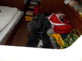 Image file: photo02.jpg