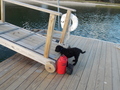 Image file: photo01.jpg