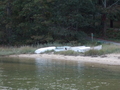 Image file: photo03.jpg